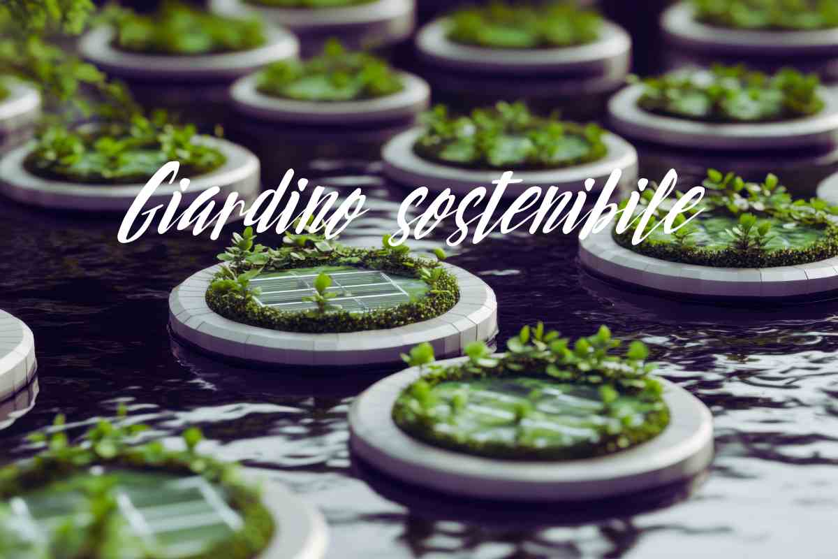 piante su acqua con pannelli solari