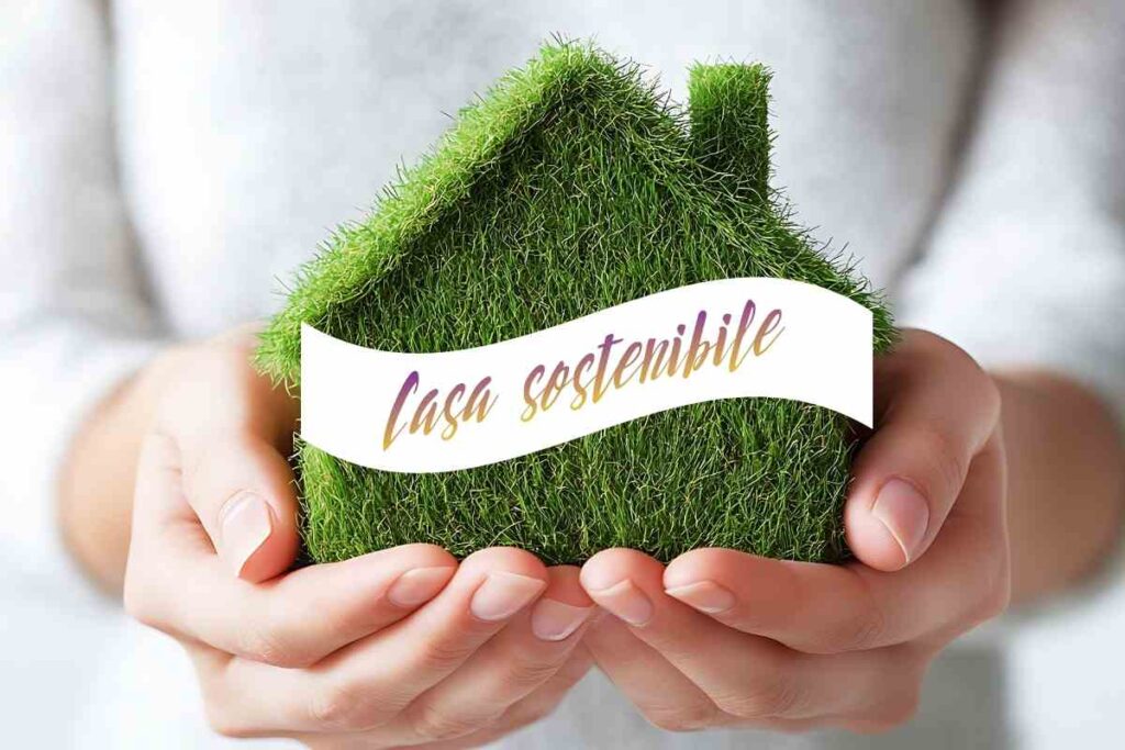 casetta di erba in mano ad una persona