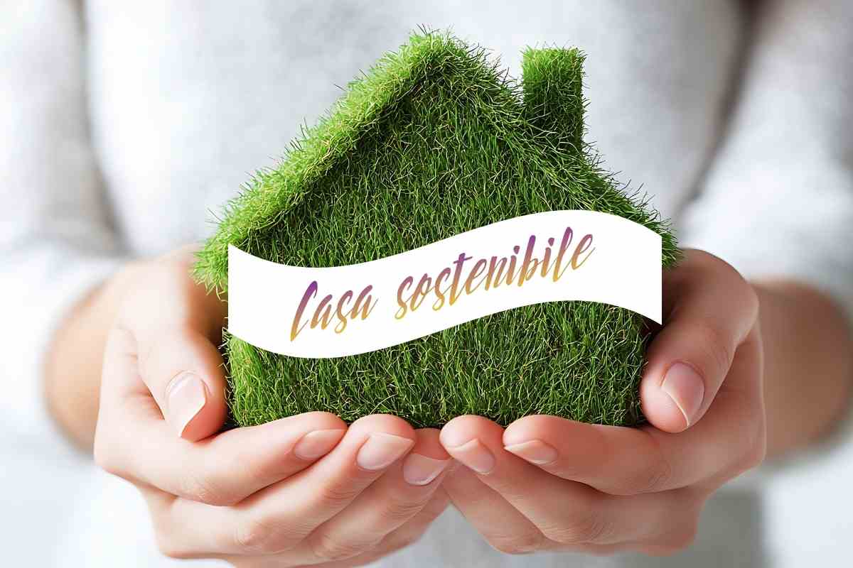 casetta di erba in mano ad una persona